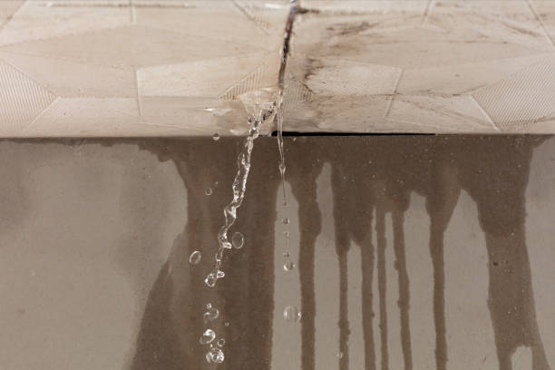 Professional Structural Drying technician working in Cresson, PA